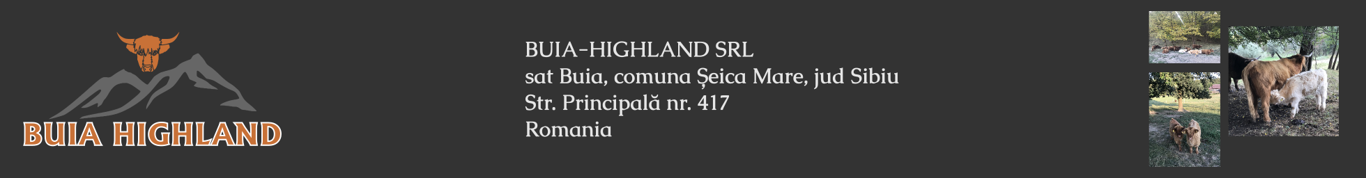 BUIA HIGHLAND SRL